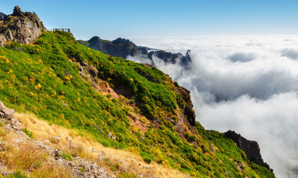 Aukščiausia Madeiros viršukalnė – Ruivas