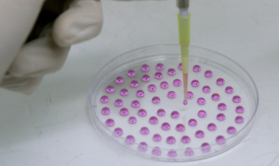 Mokslininkai manipuliuoja laboratorinėje lėkštutėje esančiomis embrioninėmis kamieninėmis ląstelėmis,
