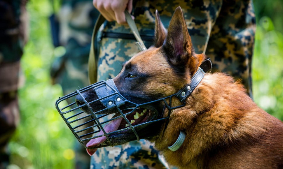 VSAT tarnybinių šunų meistriškumo čempionatas