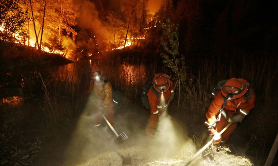 Išplitęs miškų gaisras siautėjo Kalifornijos Midltaune