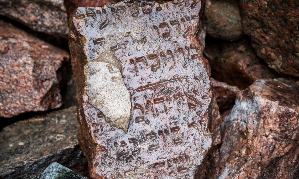 Žydų paminkliniai akmenys pagarbiai sugrįžta į senąsias žydų kapines Olandų gatvėje