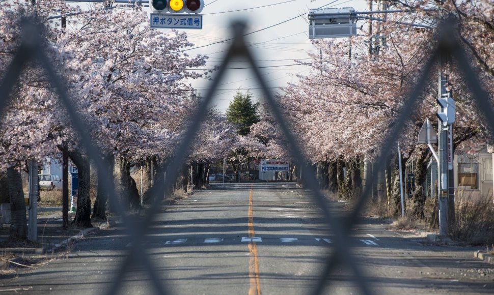 Penkeri metai po Fukušimos nelaimės – laikas vis dar sustingęs uždraustoje teritorijoje