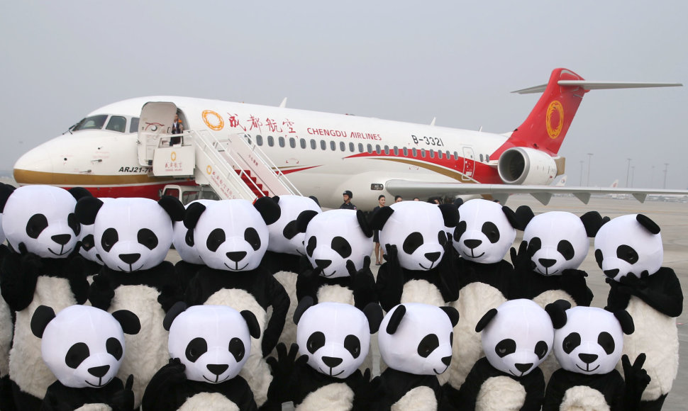 Žmonės pandų kostiumuose šalia „Chengdu airlines“ lėktuvo 