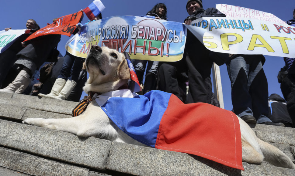 Prorusiškai nusiteikę gyventojai per protestus Donecke