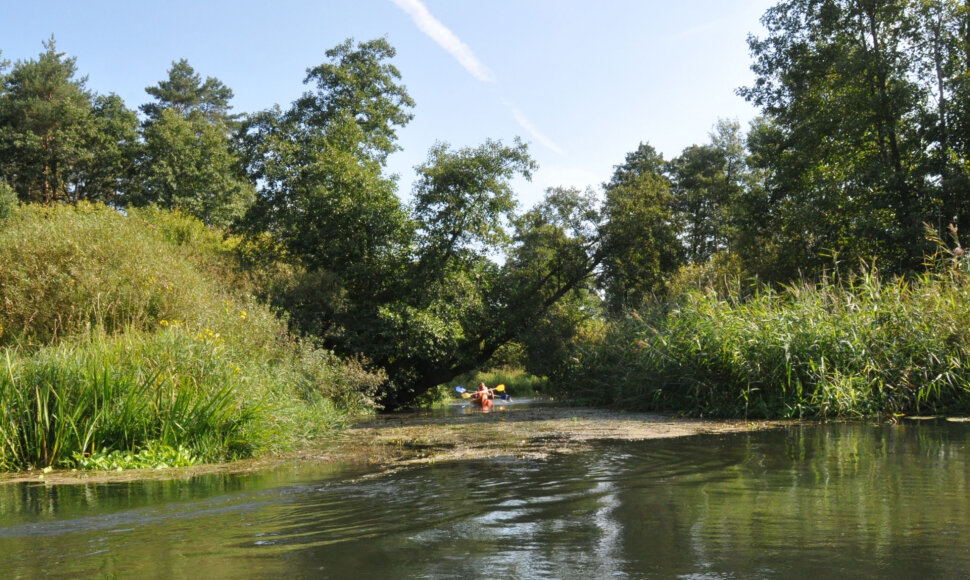 Baidarių sezono uždarymas &bdquo;i&scaron;dykusioje&ldquo; &Scaron;alčios upėje