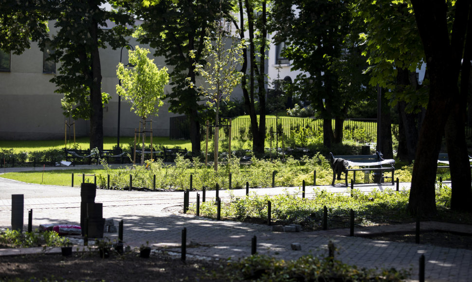 Vilniaus Reformatų parkas beveik baigtas tvarkyti - liko paskutiniai potėpiai