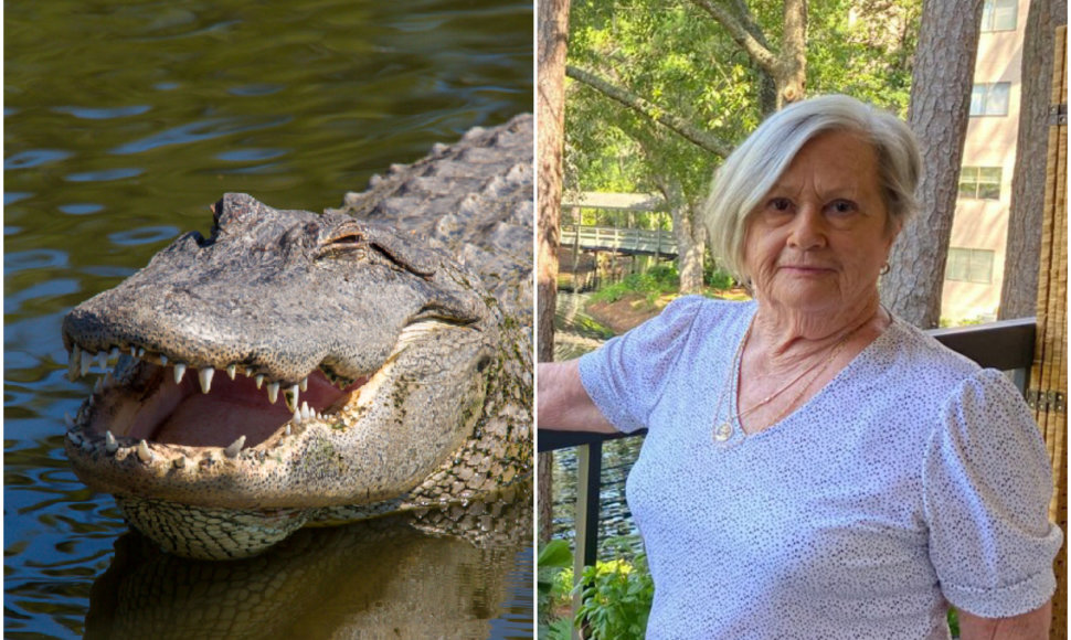 Elsie Kyle buvo užpulta aligatoriaus