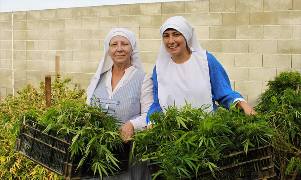 Medicininę marihuaną auginančios katalikų vienuolės Kalifornijoje 