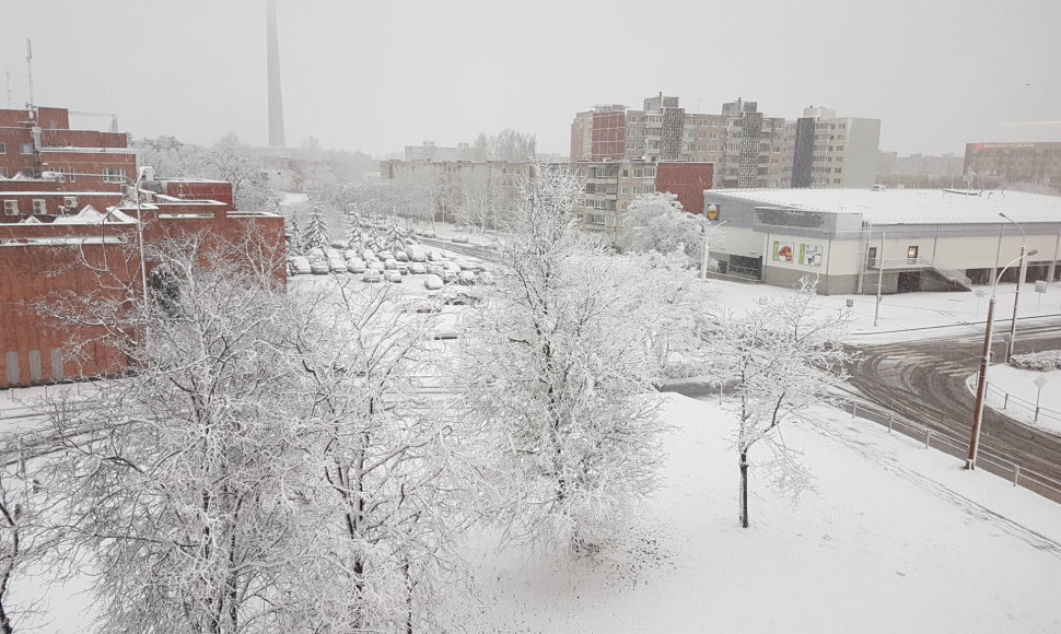Sniegas Velykų rytą Vilniuje