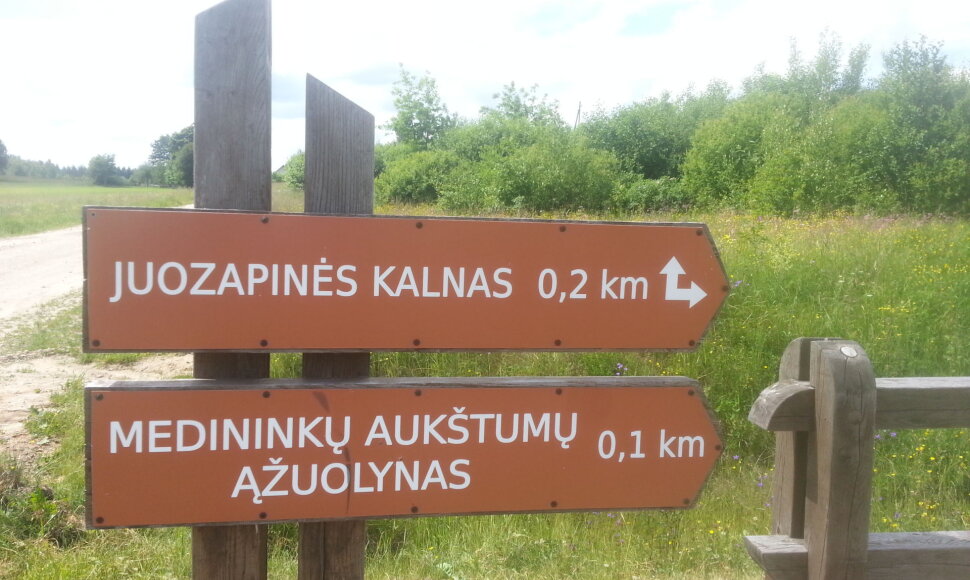 Nuorodos ryškios ir aiškios