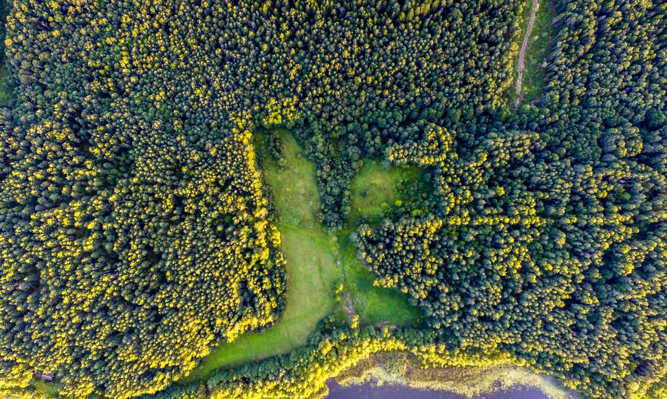 Aukštaitijos nacionalinis parkas ir Labanoro giria iš paukščio skrydžio