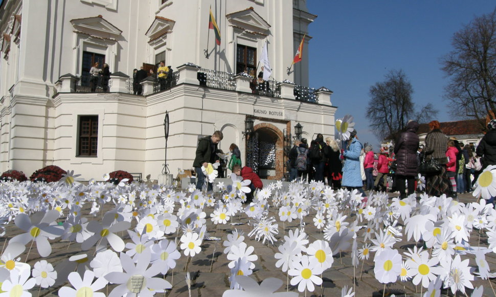 Kaune tuberkuliozės problemą priminė moksleivių gamintos ramunės