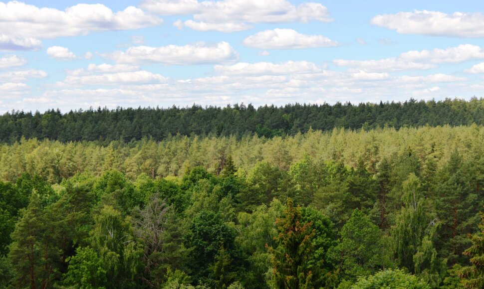 Nuo apžvalgos bok&scaron;to atsiveria nuostabi panorama į Anyk&scaron;čių apylinkes
