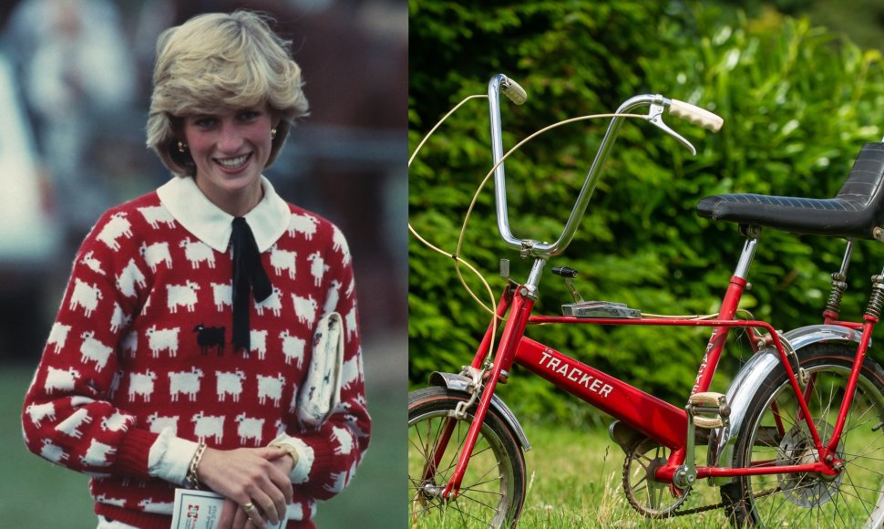 Princesė Diana, princesės Dianos dviratis