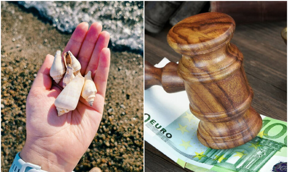 Kai kuriose šalyse draudžiama rinkti kriaukles