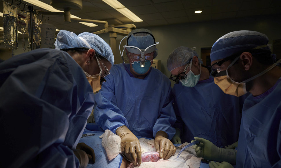 Chirurgai stebi transplantuotą inkstą