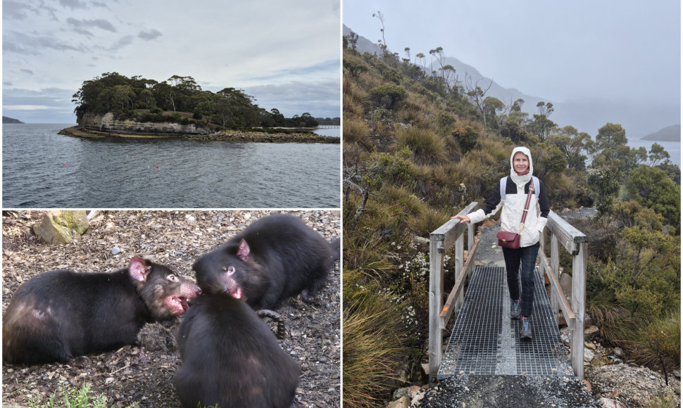 Tasmanija