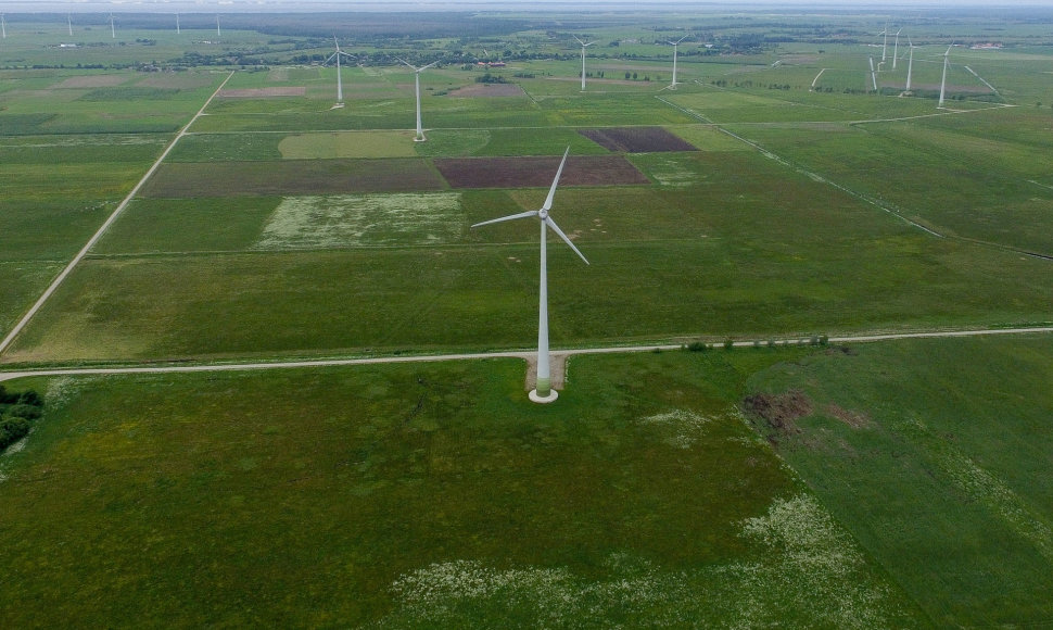 Artūro Skardžiaus sklypas ir vėjo jėgainių parkas Šilutės rajone
