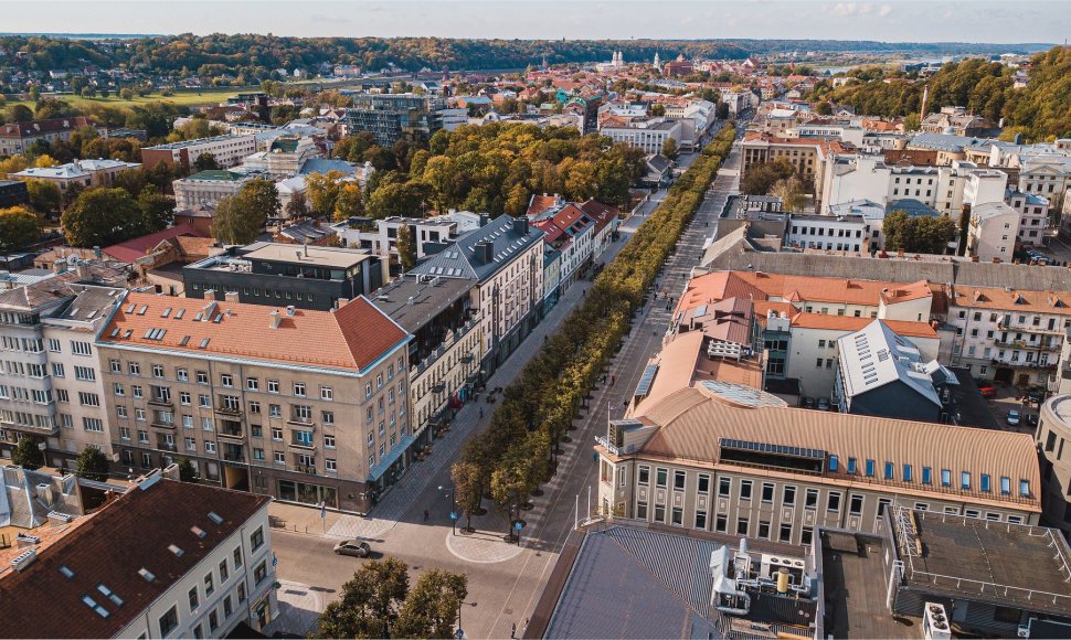 Laisvės alėjos rekonstrukcijos projektas