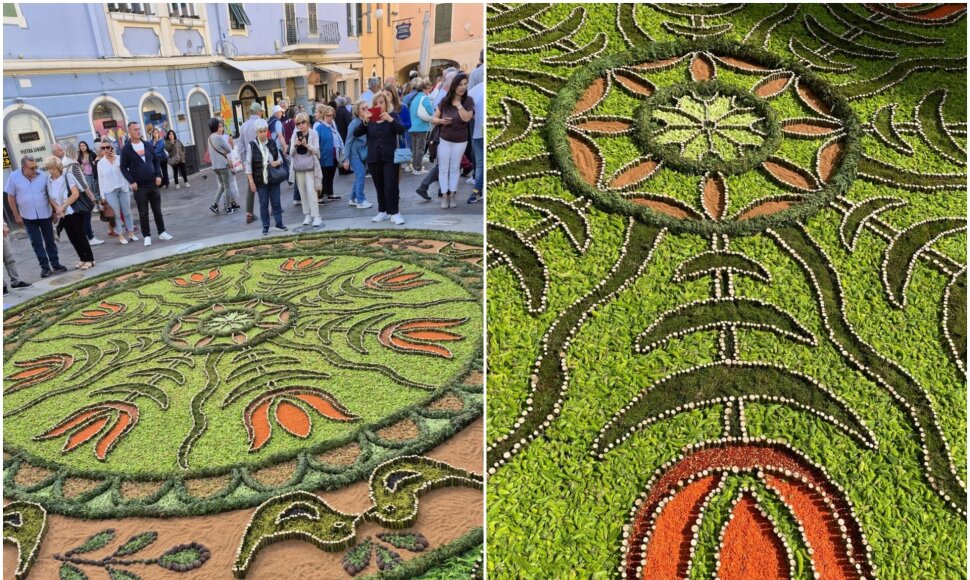 Italijoje vykstančiame floristinių kilimų festivalyje žemaičiai sukūrė įspūdingą kūrinį