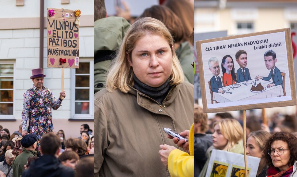 Dovilė Filmanavičiūtė, protestas