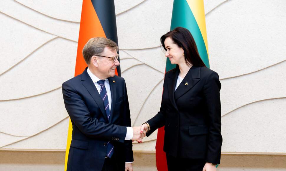 I. Ruginienė ir J. Wadephulas / LRV nuotr.