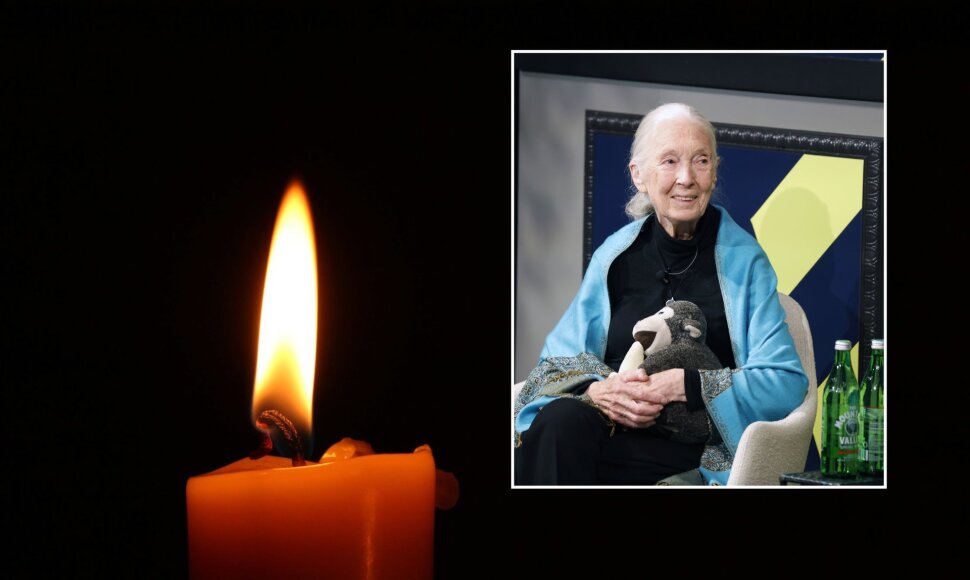 Jane Goodall