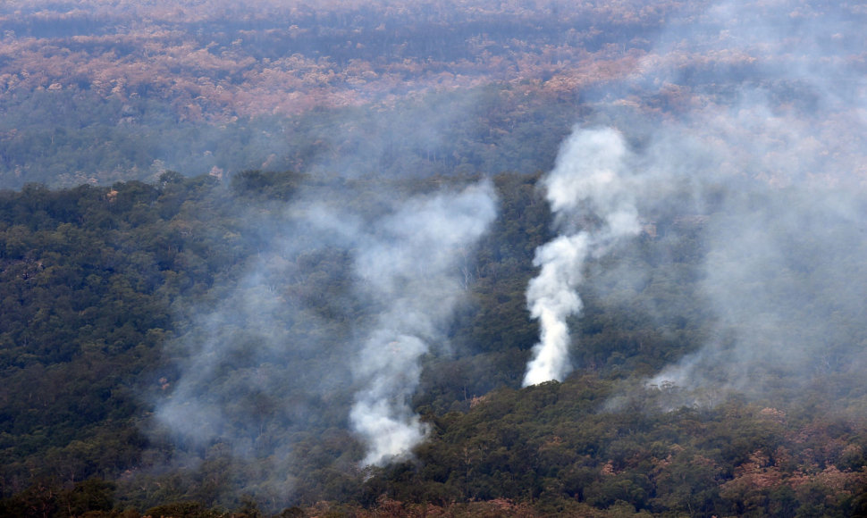 Australijos krūmynų gaisrai sukėlė rimtą pavojų nykstančioms rūšims