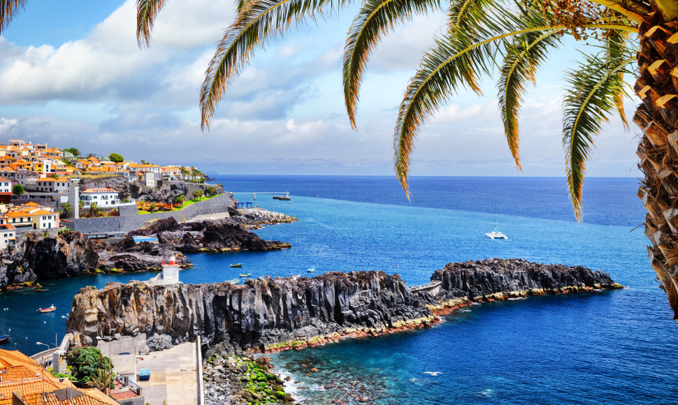 Kamara de Lobosas, Madeira