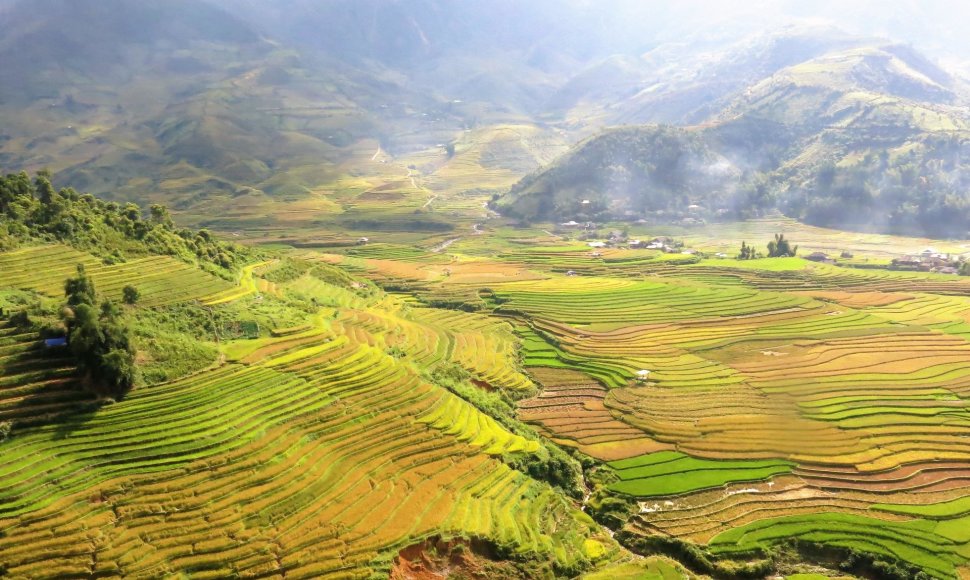 Toks žinomas ir ne visada suprantamas Vietnamas