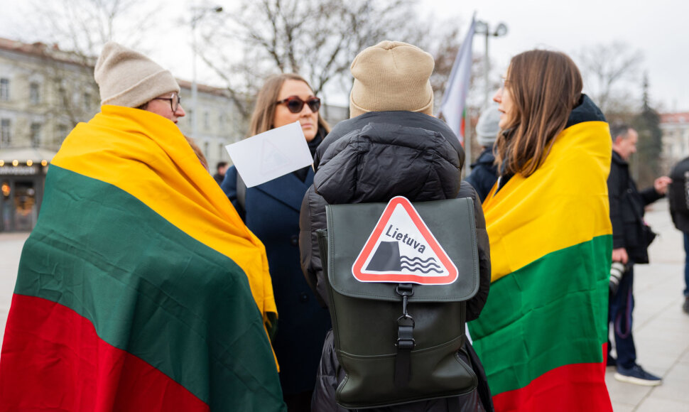Kultūros bendruomenės finalinis mitingas