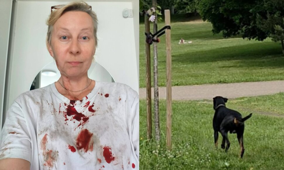 Jurga Varanavičius, dobermanas