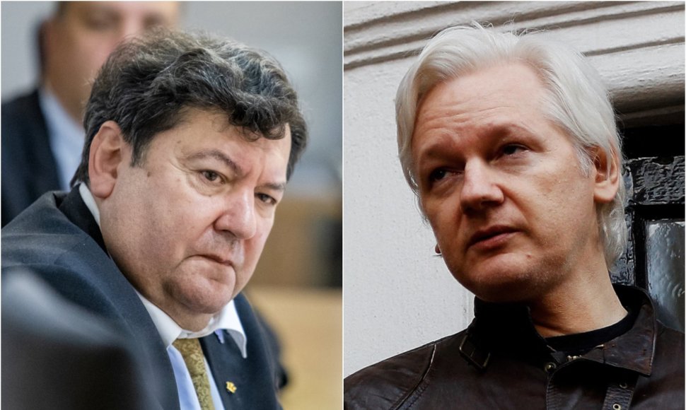 Emmanuelis Zingeris, Julianas Assange'as