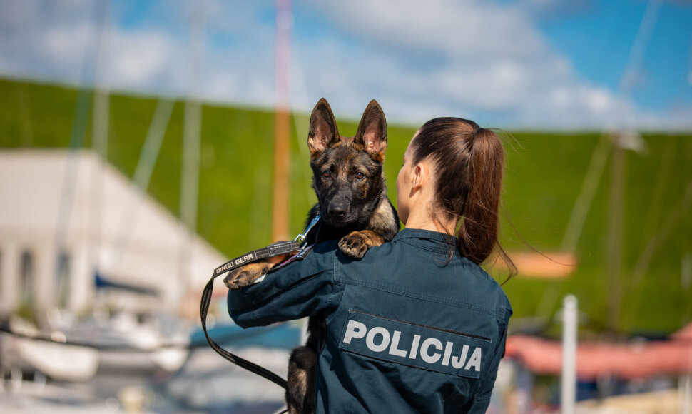 Keturkojė pareigūnė Nora