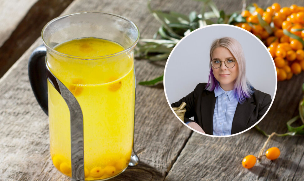 Gabrielė Balčiūnaitė-Murzienė kalba apie šaltalankius