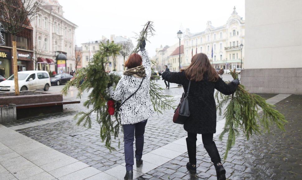 Kalėdinės eglių šakų dalybos