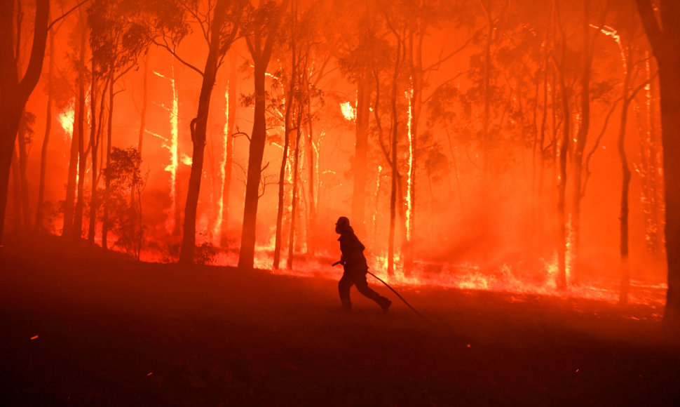 Miško gaisras Australijoje