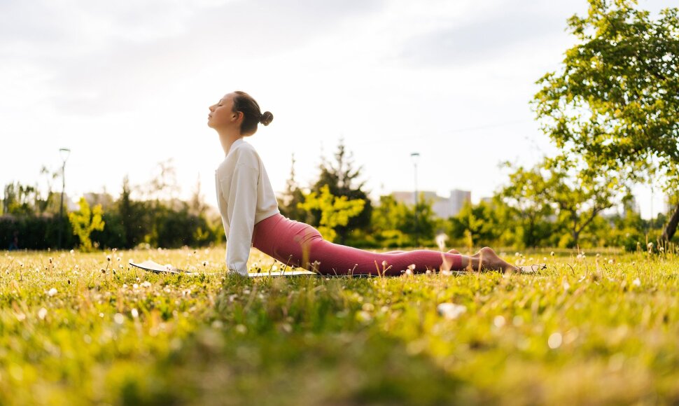 Joga lauke