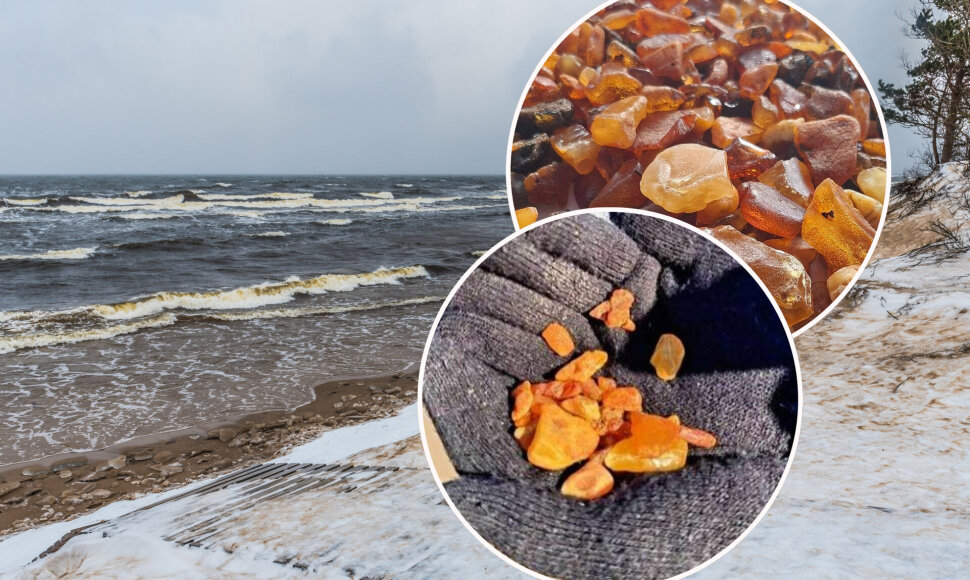 Gintaras Baltijos jūroje