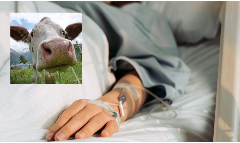 Moteris vestuvių dieną patyrė tikrą siaubą