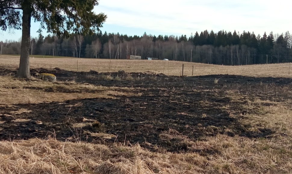 Telšių aplinkosaugininkai atliko reidus dėl žolės ar sodininkystės atliekų deginimo