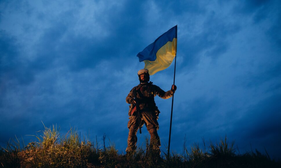 Ukrainos karys