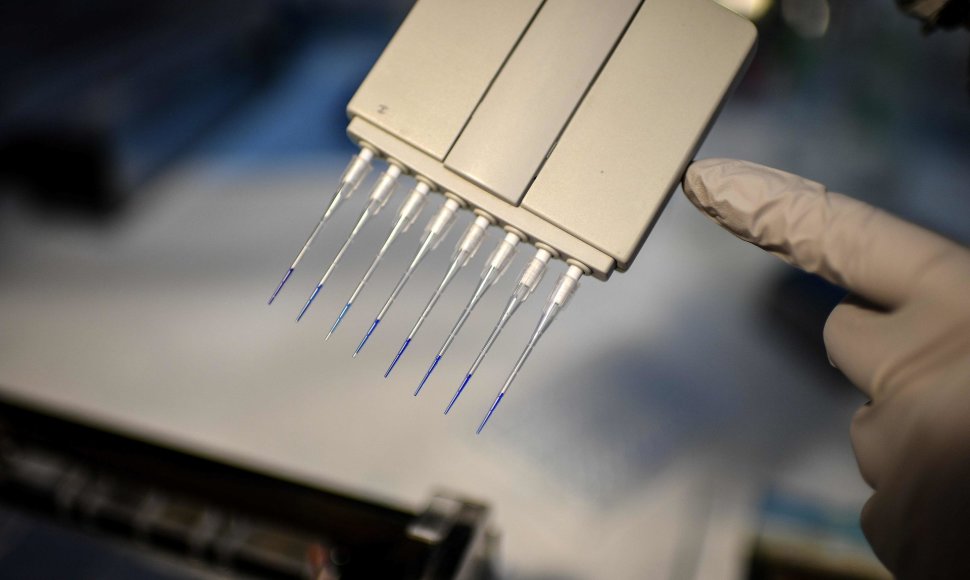 Laboratorijos technikai vykdo genetinius koronaviruso tyrimus