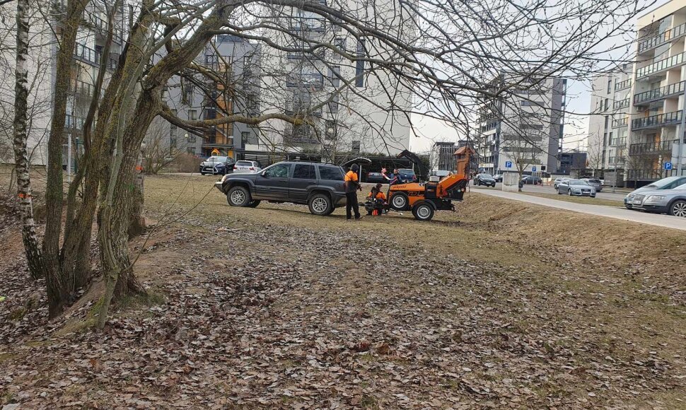 Darbai &scaron;iaurinėje Pilaitėje