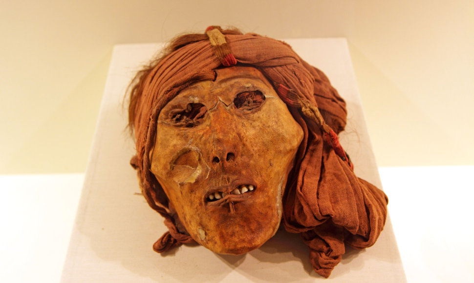 Sudžiovinta žmogaus galva muziejuje