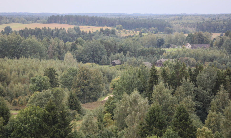 Panorama nuo Šiaulės apžvalgos bokšto