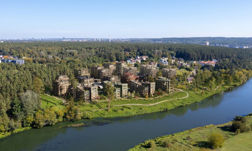 Bukčių kvartalo architektūrinė vizija  