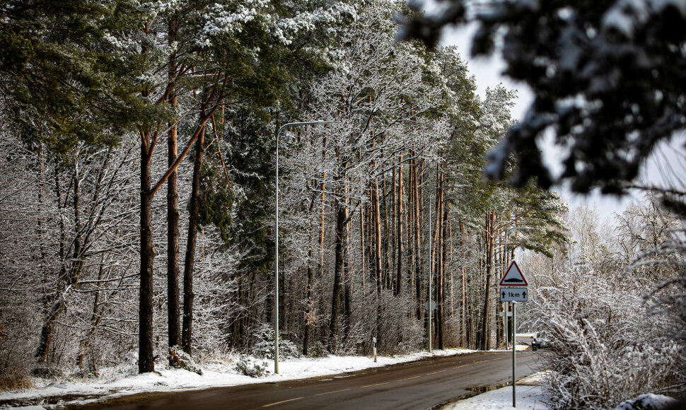 Sniego paklotė mi&scaron;ke