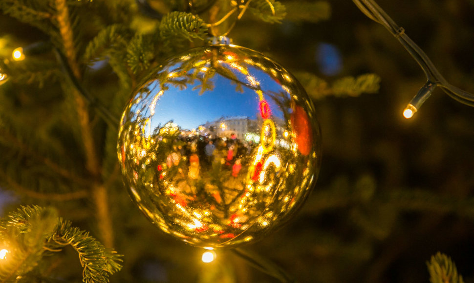Vilniaus Rotušės aikštėje įžiebta Kalėdų eglė