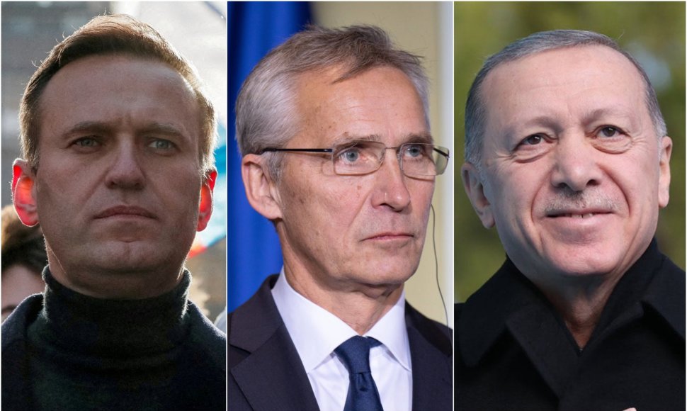 Aleksejus Navalnas, Jensas Stoltenbergas, Recepas Tayyipas Erdoganas